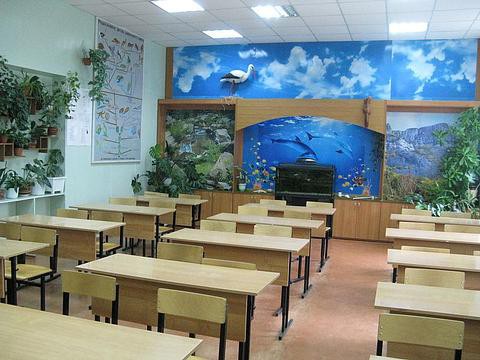 Почти всех собак нужно периодически стричь